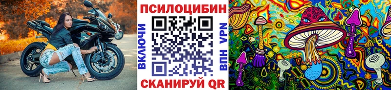 Галлюциногенные грибы Cubensis  закладка  Зерноград 